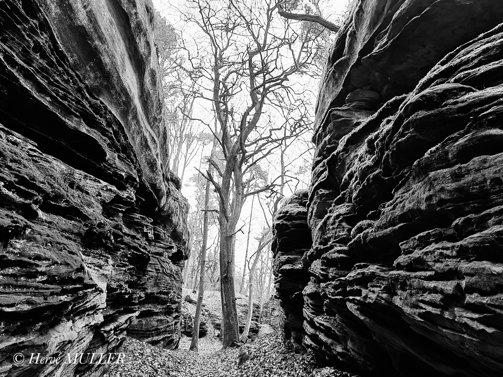 Douter est fondamental / Bollendorf (DE) @ Hervé Muller - Tous droits réservés